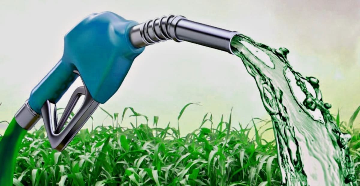 EMBRAPII e BNDES vão investir R$ 25 milhões em Novos Biocombustíveis